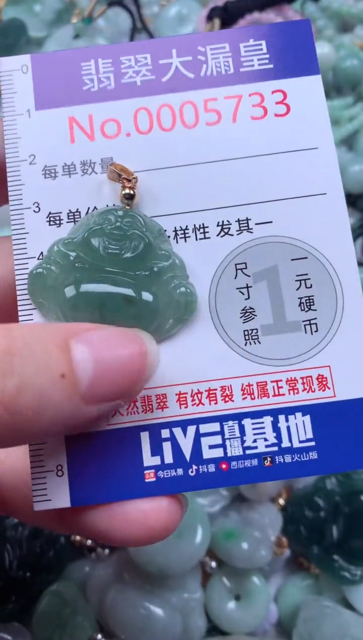 翡翠未镶嵌吊坠(不含链)5733