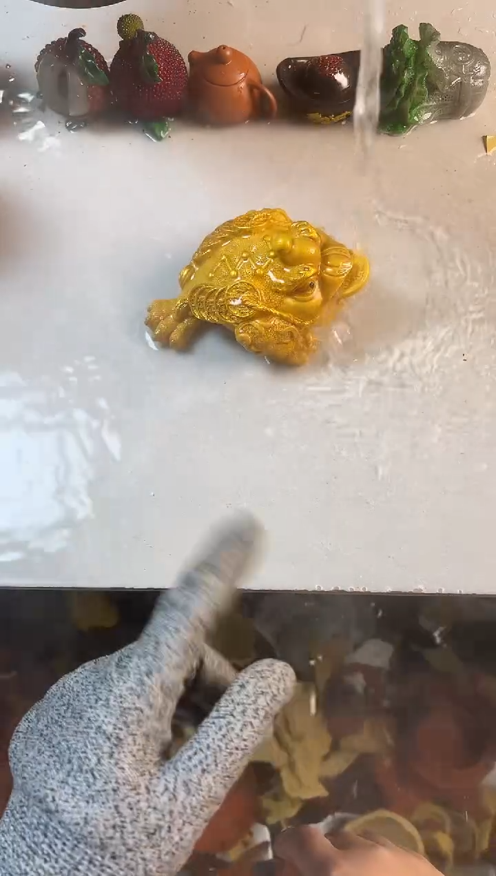 福利变色茶宠福利