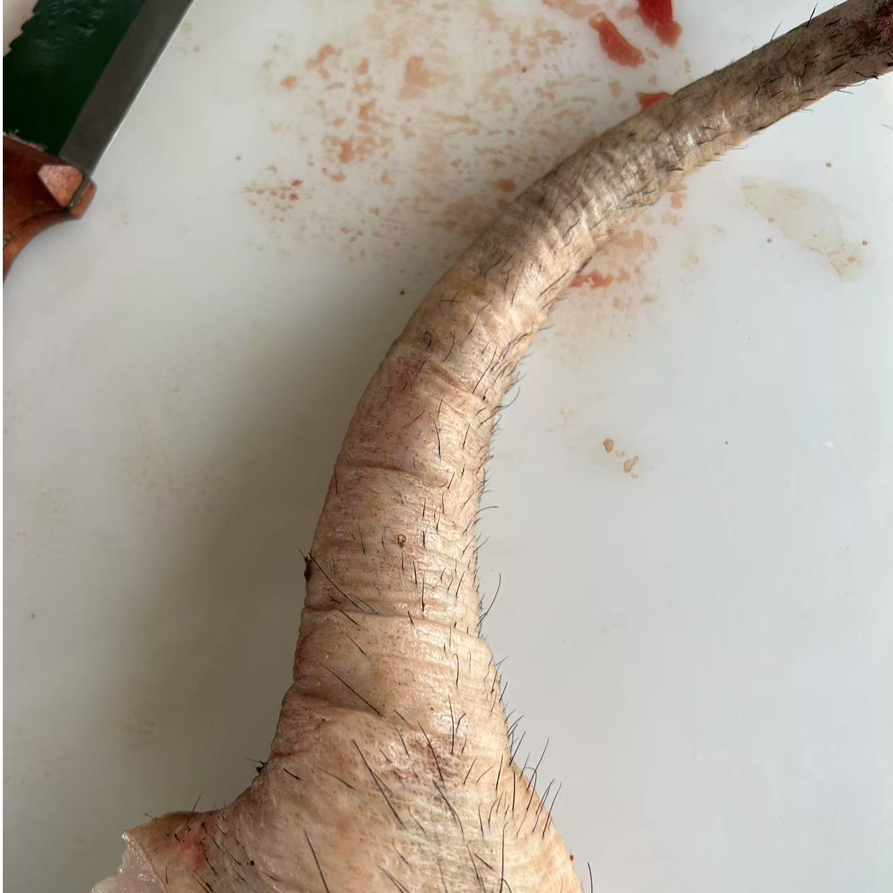 （尾巴）东北老品种黑猪现杀农家谷物散养两年顺丰包邮（现场称重）