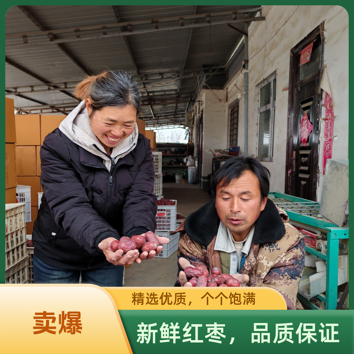 新疆和田大枣一特级自然吊干无清洗不加工纯天然