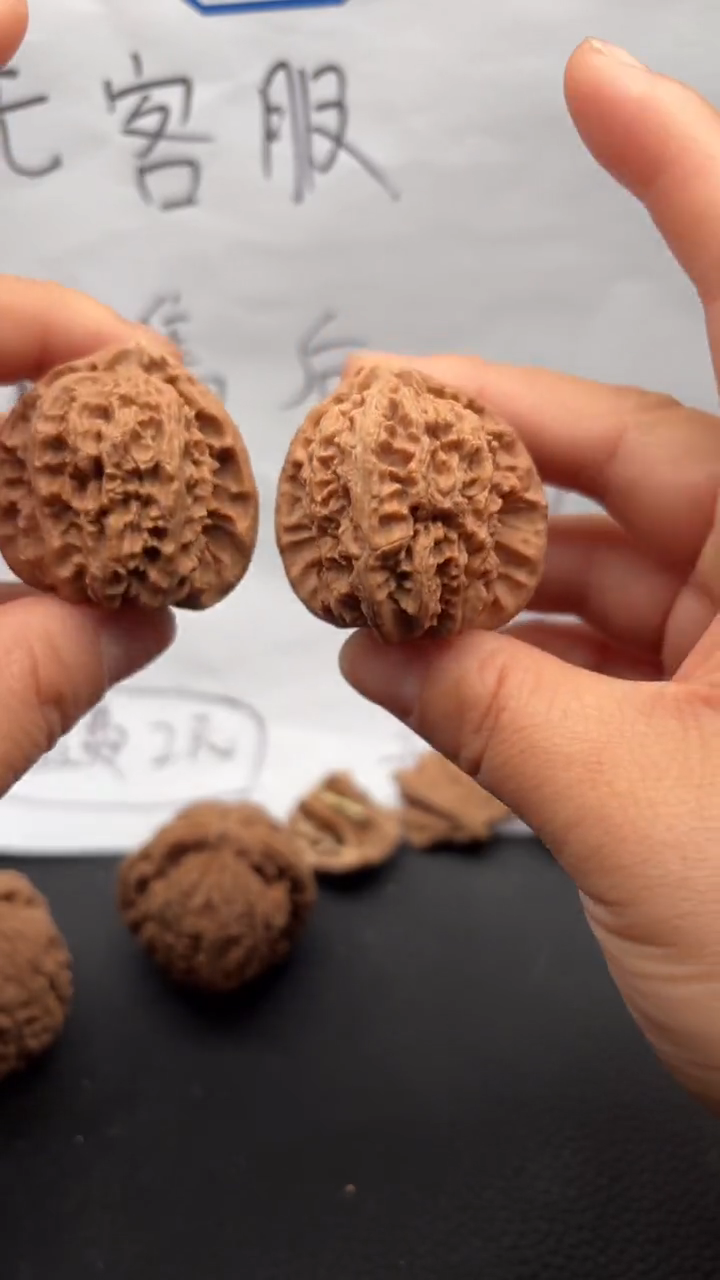 把件文玩核桃54白狮子