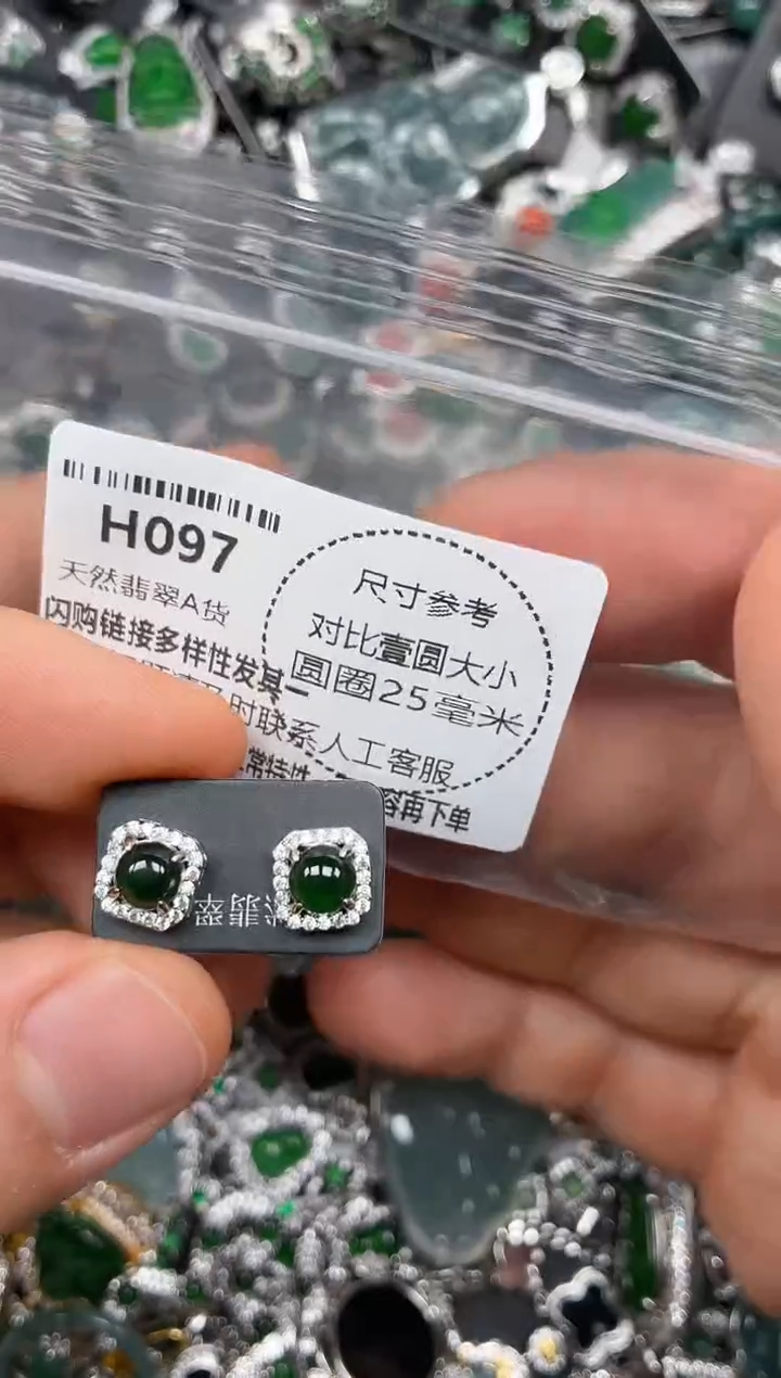 颈饰未镶嵌翡翠H097耳钉