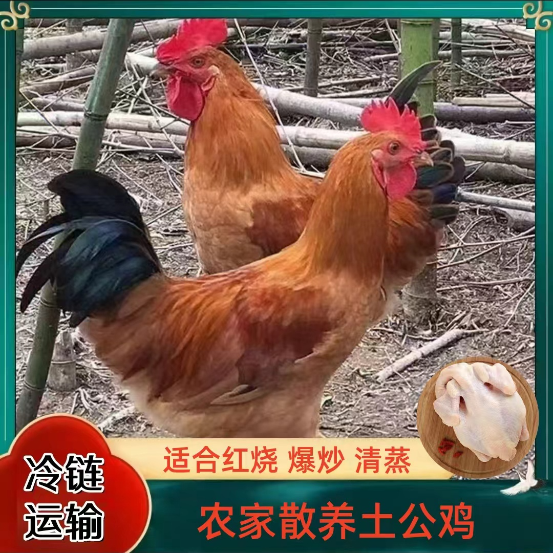 【7大山】现杀放养土公鸡 买4送1 共5只净重10-11斤 冷链运输
