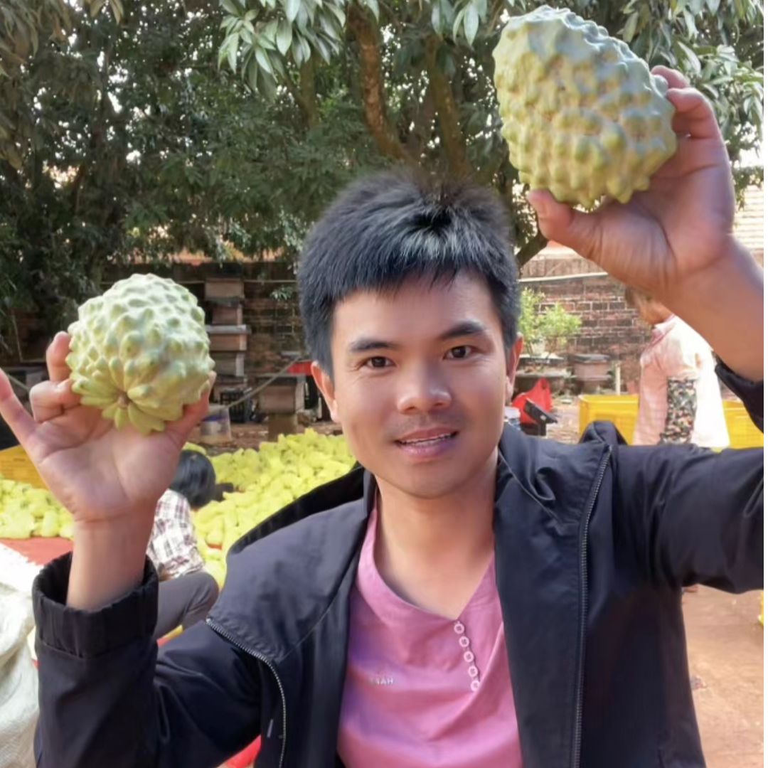 凤梨释迦果 甜蜜如初恋