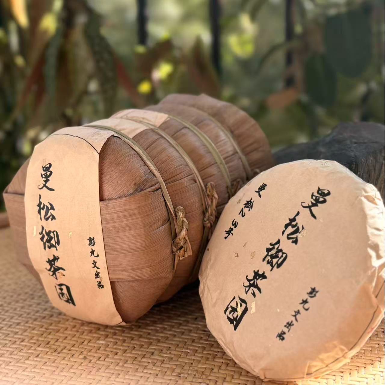 《曼松王子九文》 御茶园 100g  生 曼松王子山23号