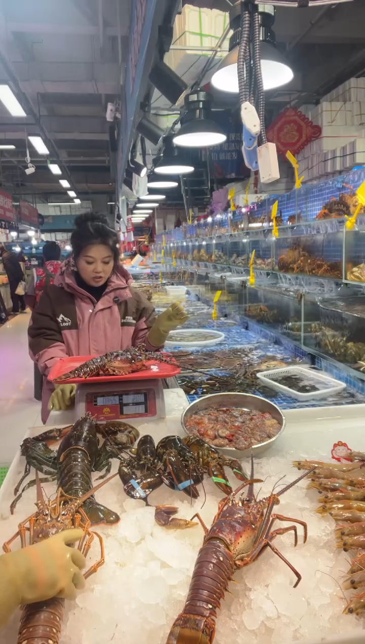 中国大陆断氧古巴龙1只，1.7斤