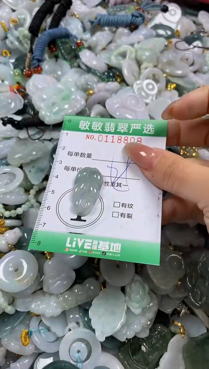 【闪购商品】翡翠颈饰未镶嵌闪购0118809