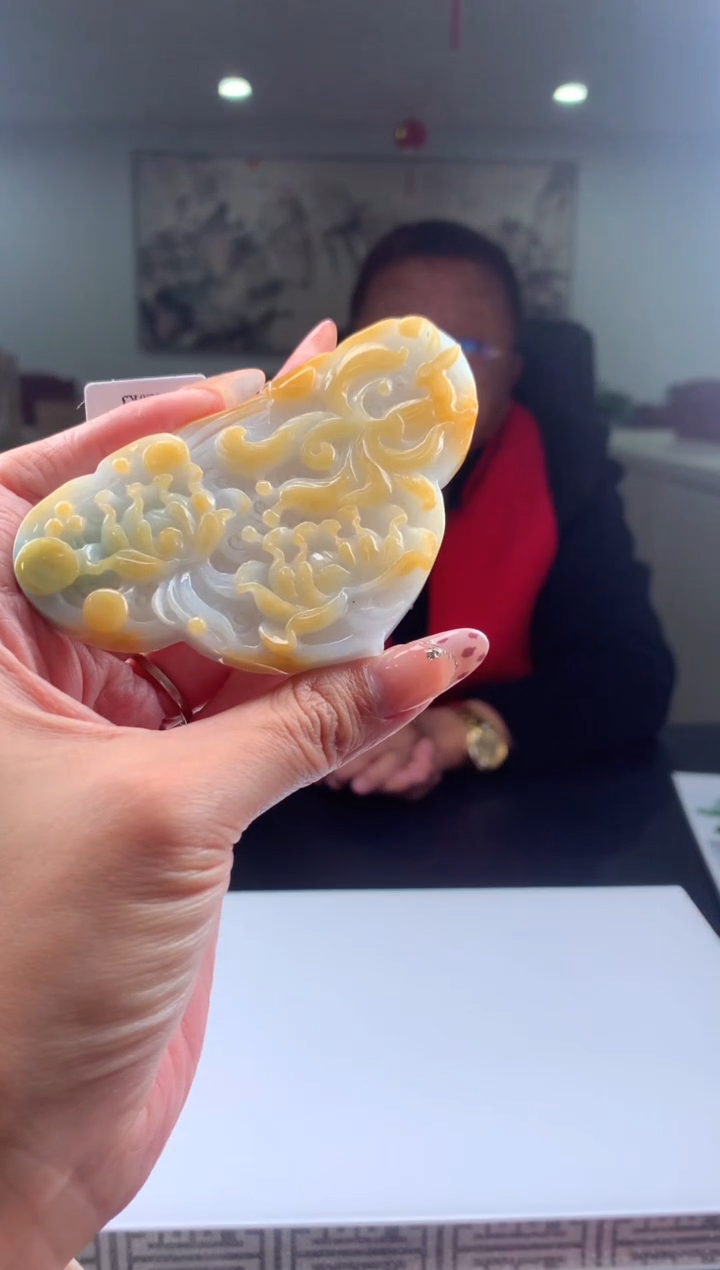 【闪购商品】定制翡翠未镶嵌挂件发货（拍一发一）