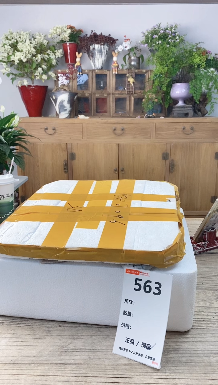 小玩子花盆直播号563