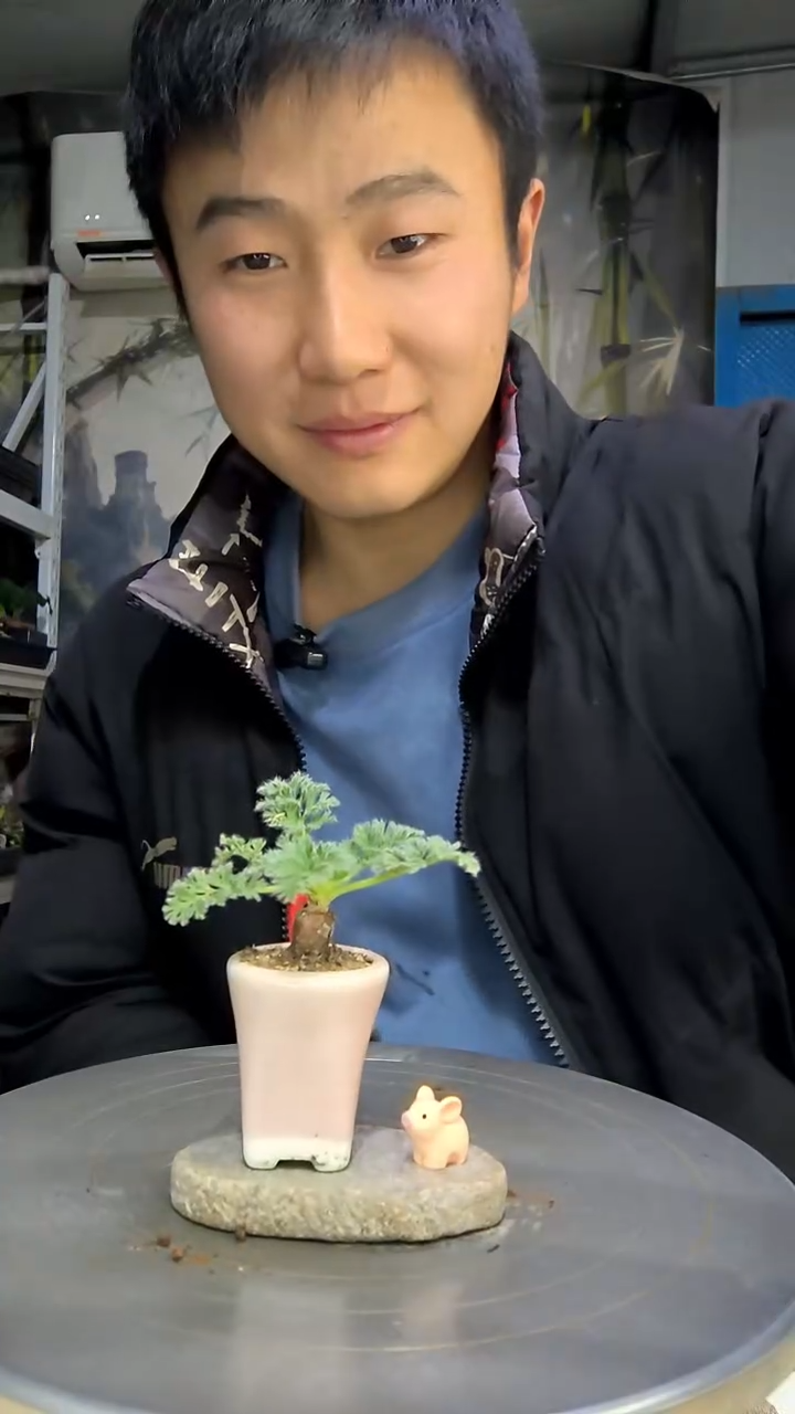 王*中青园艺一物一拍花124