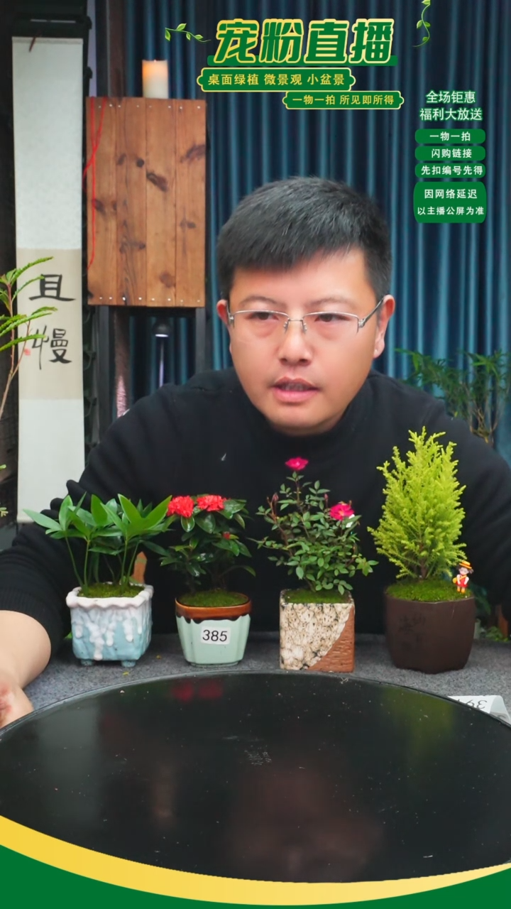 无花朵大*呀苔藓微景观385号