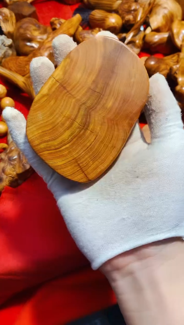 【闪购商品】柏木39崖柏崖柏崖柏崖柏崖柏