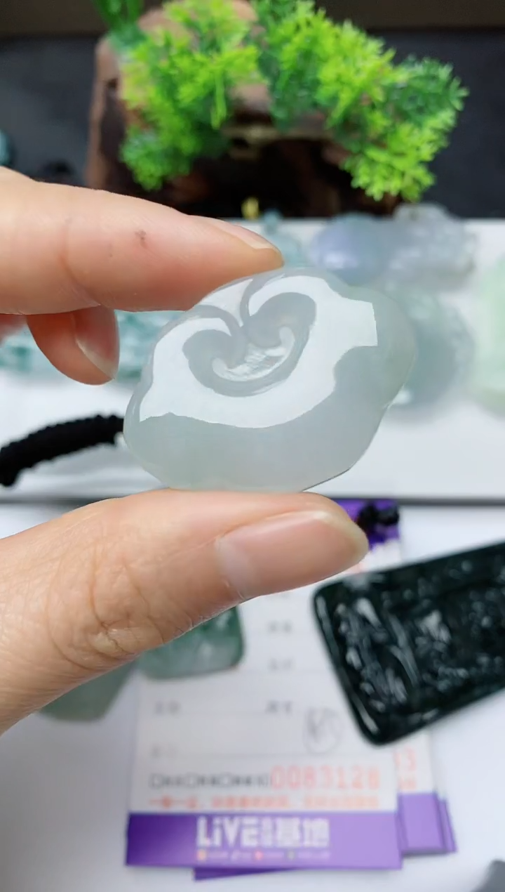 【闪购商品】翡翠颈饰未镶嵌          