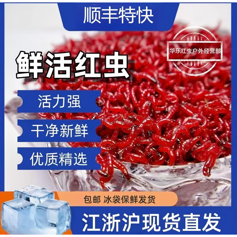 【挂钩特大号】顺丰快递/全国2天到/死虫包赔。