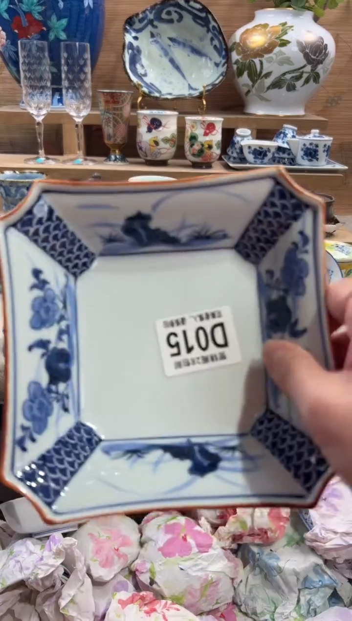 瓷片柳*.      D015