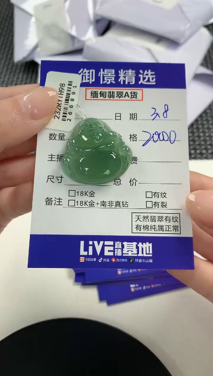 【闪购商品】翡翠颈饰未镶嵌69          