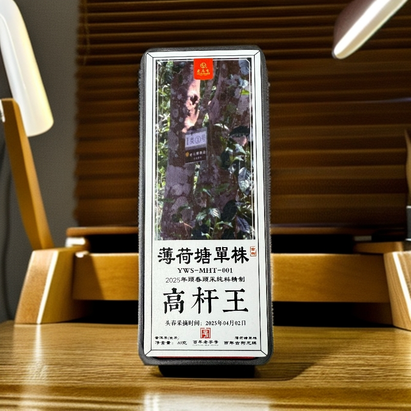 老马帮（7.16号）薄荷塘单株   普洱生茶龙珠8G*10颗/80克