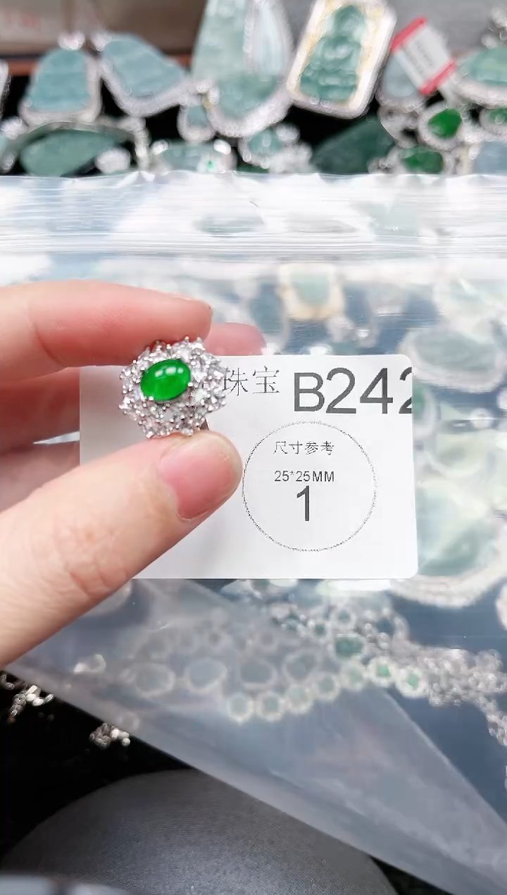 【闪购商品】翡翠颈饰未镶嵌赠皮绳242