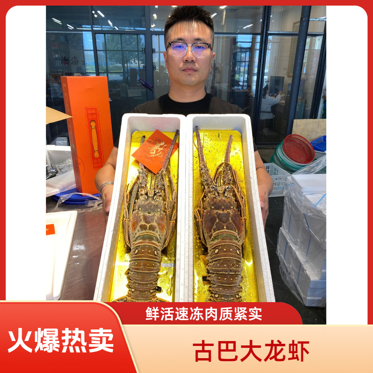 古巴大龙虾鲜活速冻.肉质紧实口感好.送礼佳品（顺丰发货）