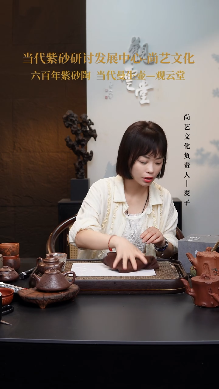 茶壶紫砂紫砂壶 12号 