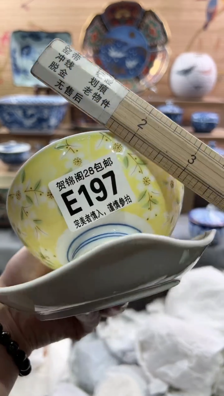 【闪购商品】瓷片当天满28米包邮E197