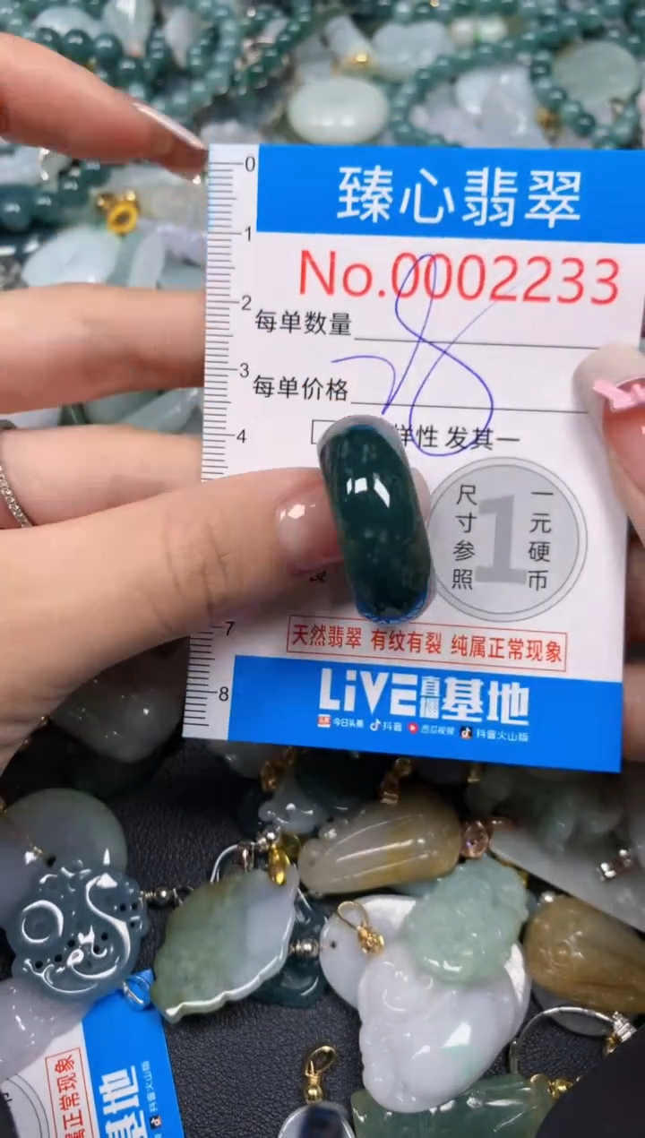 【闪购商品】翡翠颈饰未镶嵌含绳0002233