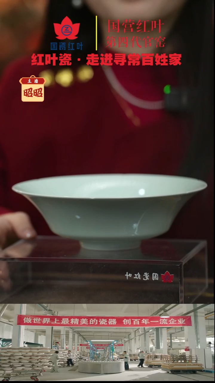 陶瓷1个正价8寸宋器加厚反边碗