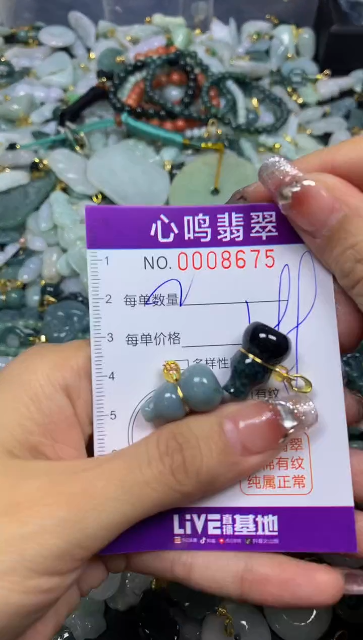 【闪购商品】翡翠颈饰未镶嵌闪购008675