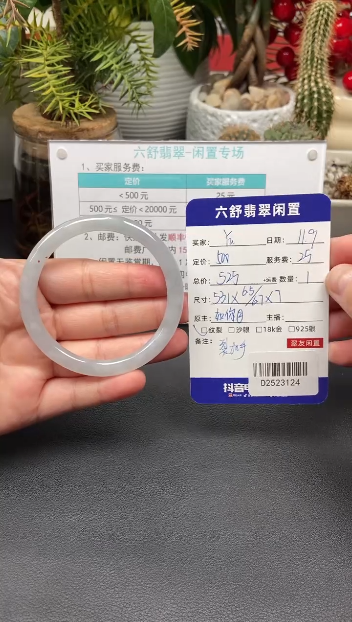 未镶嵌手镯翡翠Y*?D2523124