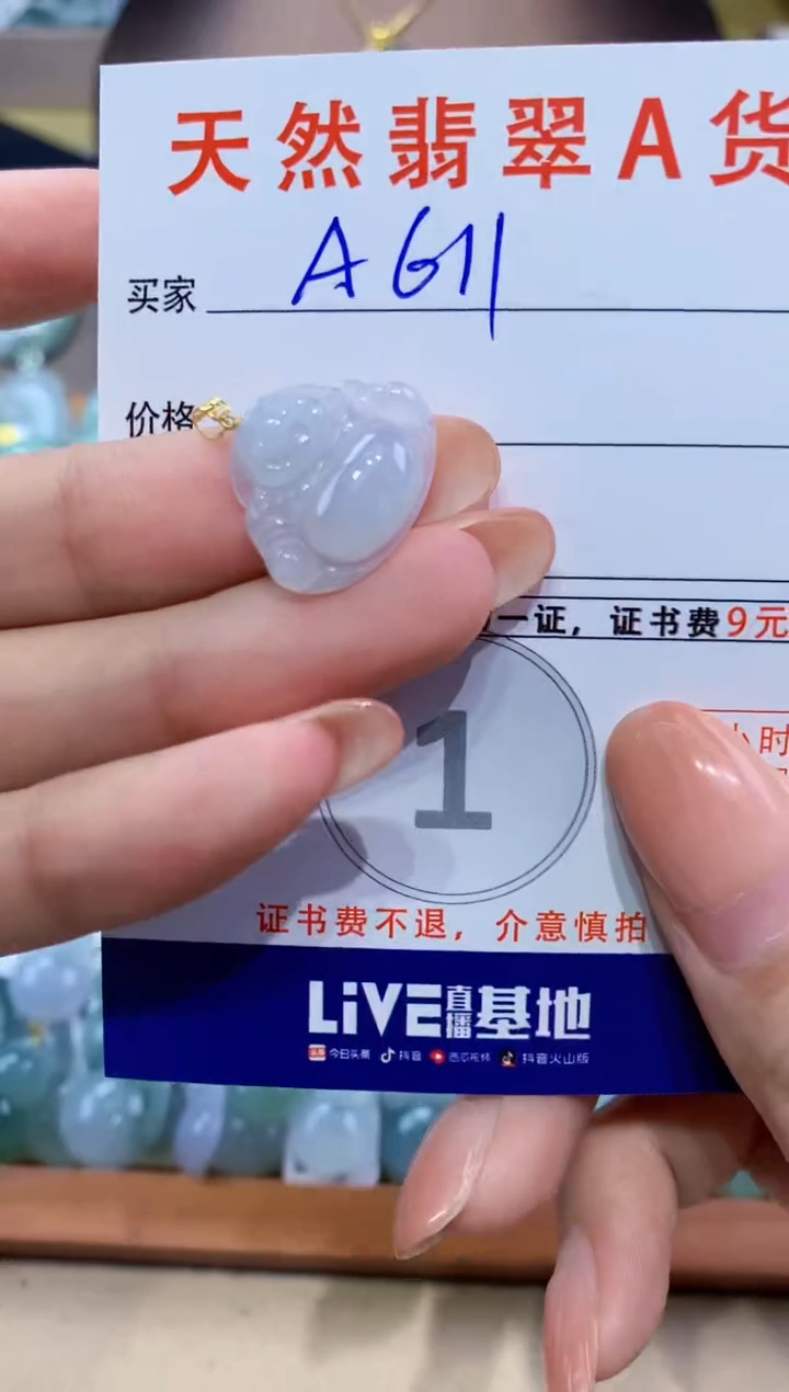 翡翠未镶嵌颈饰天然翡翠A货挂件 