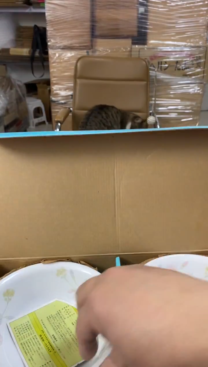 瓷片609小林轩欢迎您