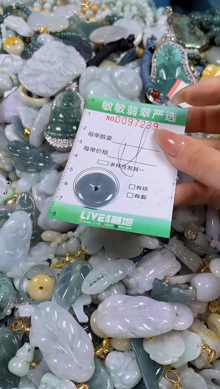 【闪购商品】翡翠颈饰未镶嵌闪购0097239