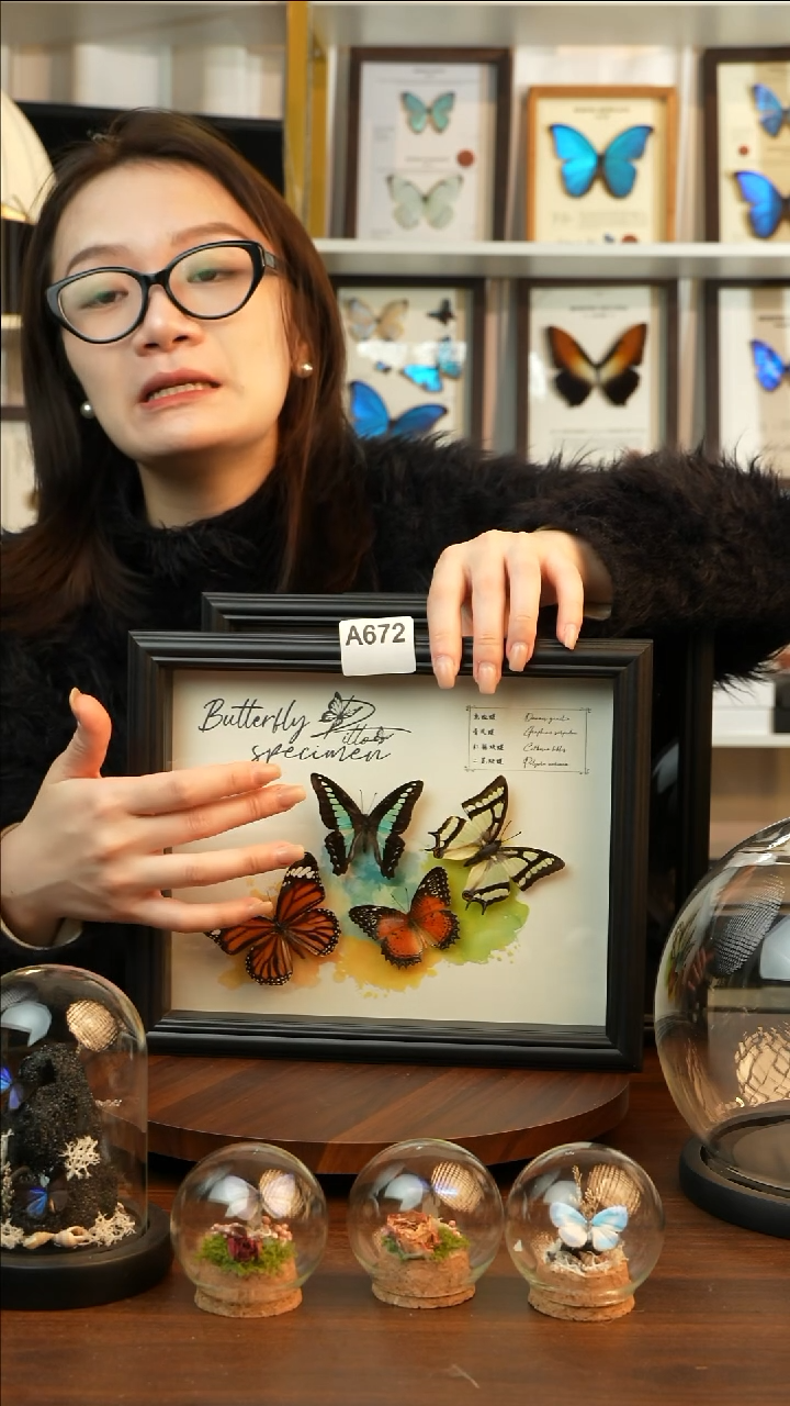 四色蝴蝶组合（10寸欧式黑框）A672