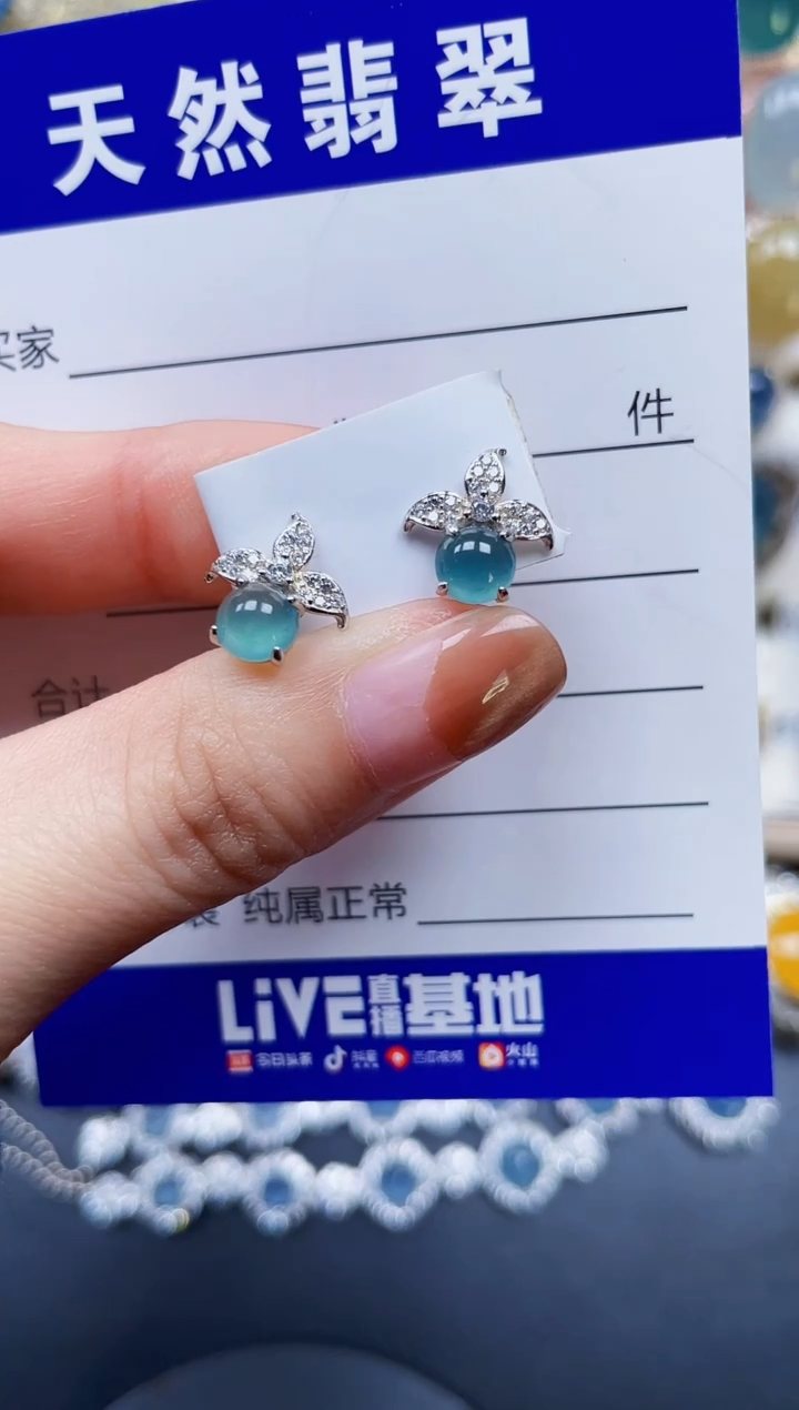 银S925镶嵌翡翠耳饰257