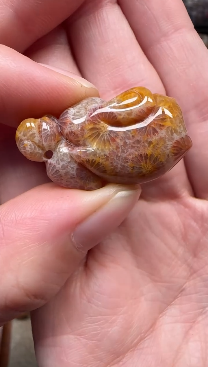 颈饰未镶嵌硅化珊瑚（珊瑚玉）128