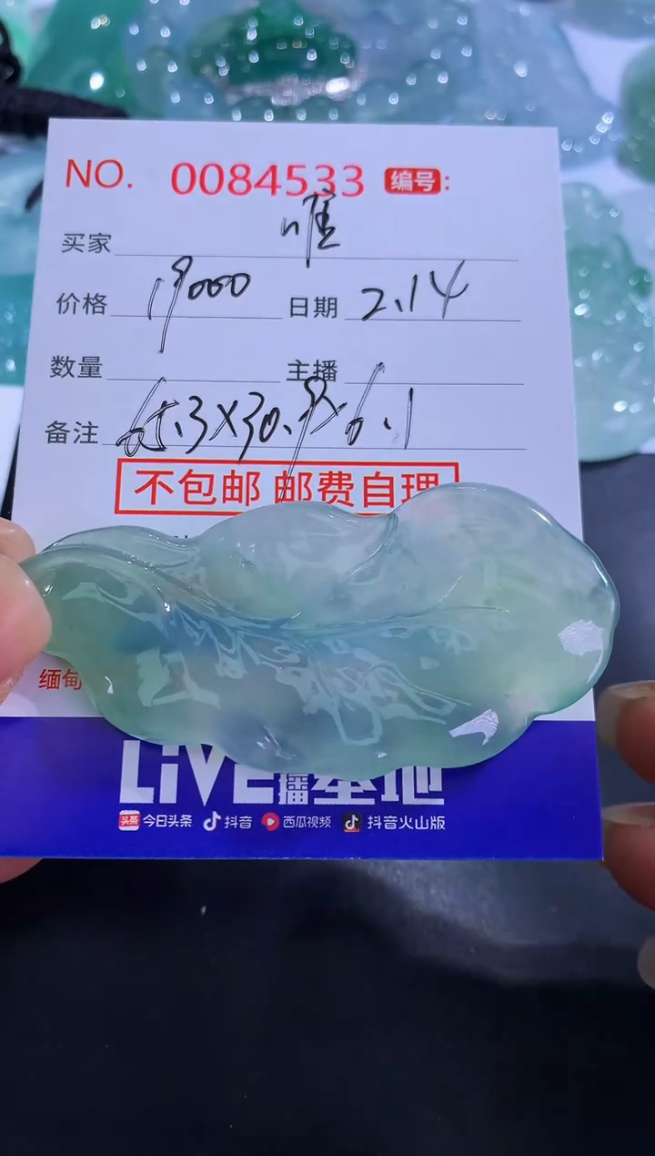 【闪购商品】翡翠颈饰未镶嵌唯