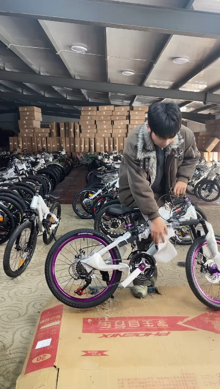 永-20寸-21速-灰【默认微瑕，不退不换，介意勿拍】