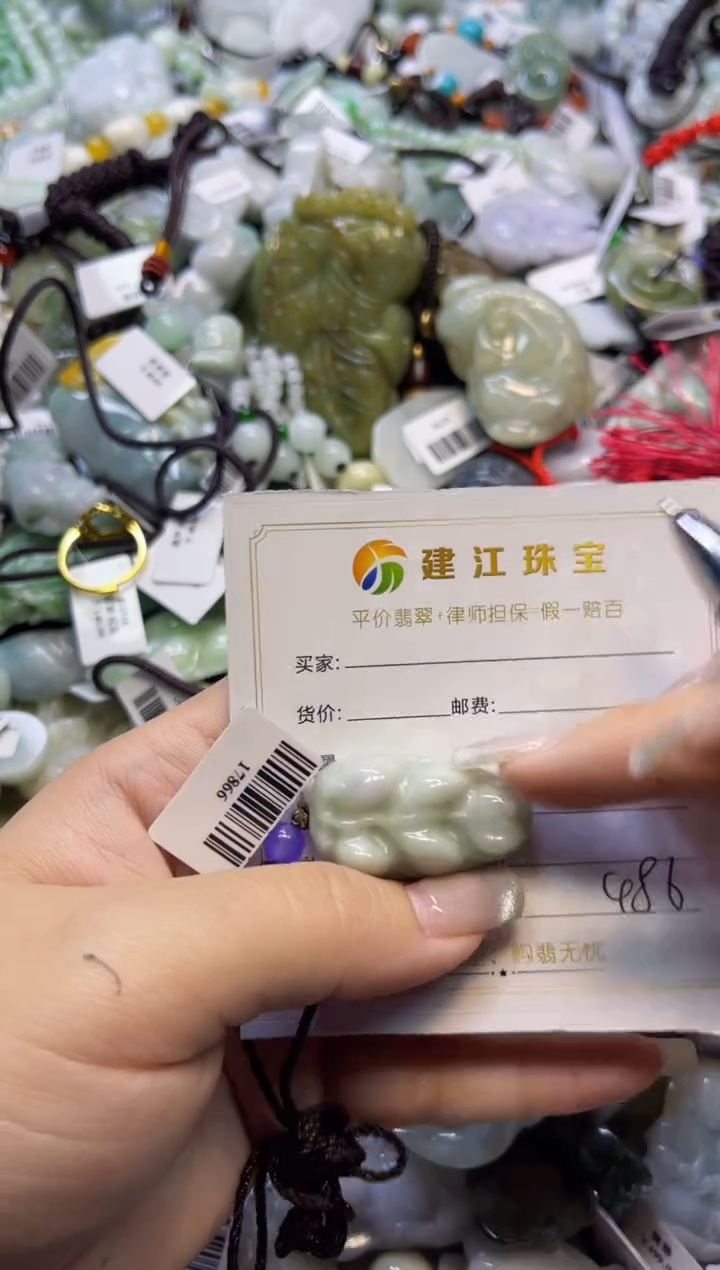 【闪购商品】翡翠颈饰未镶嵌00000486