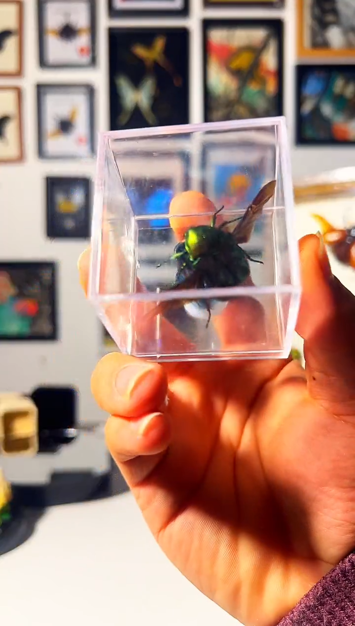 有机玻璃487486468