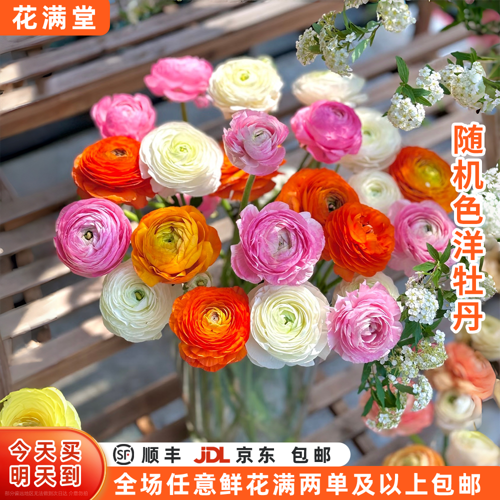 【次日达·随机单色洋牡丹】随机单色洋牡丹一把·鲜切花·生活鲜花·两单鲜花顺丰包邮基地直发·鲜切花批发·洋牡丹