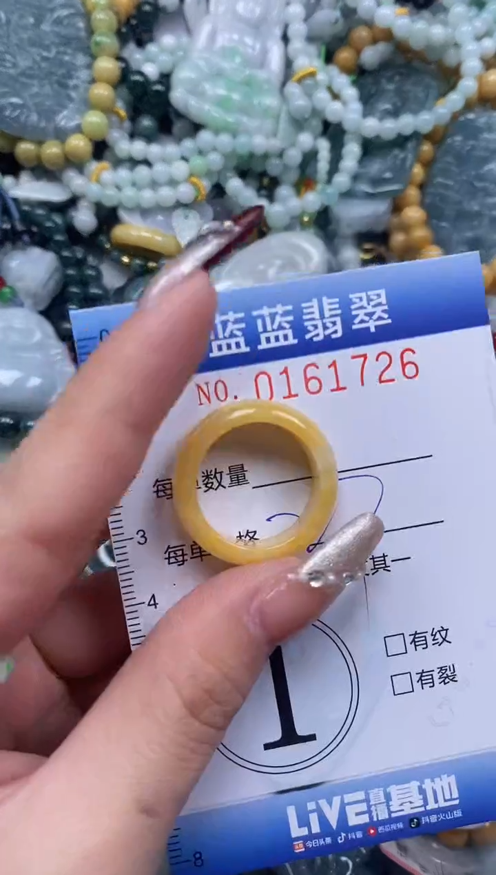 【闪购商品】翡翠颈饰未镶嵌闪购0161726