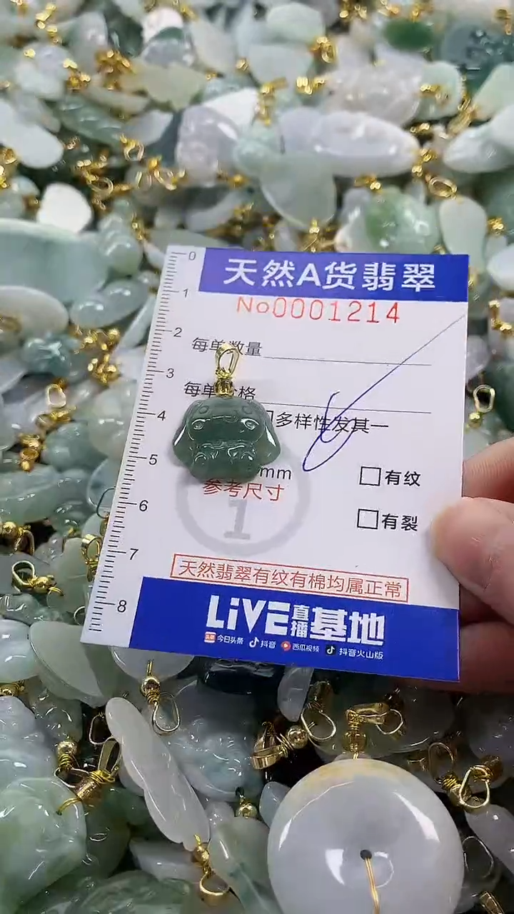 颈饰未镶嵌翡翠纯天然a货翡翠