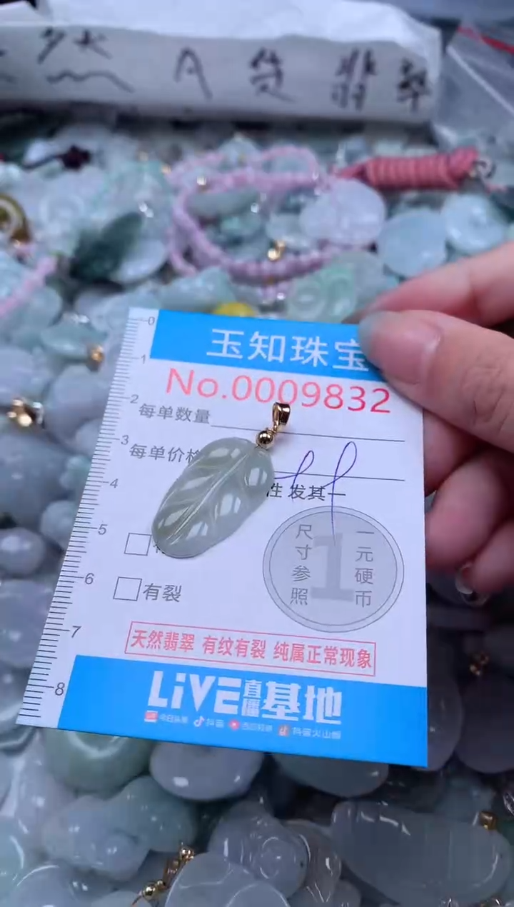 翡翠未镶嵌吊坠(不含链)9832