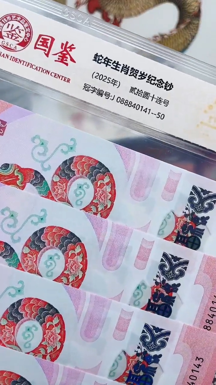 【闪购商品】塑料蛇钞088840141标十111