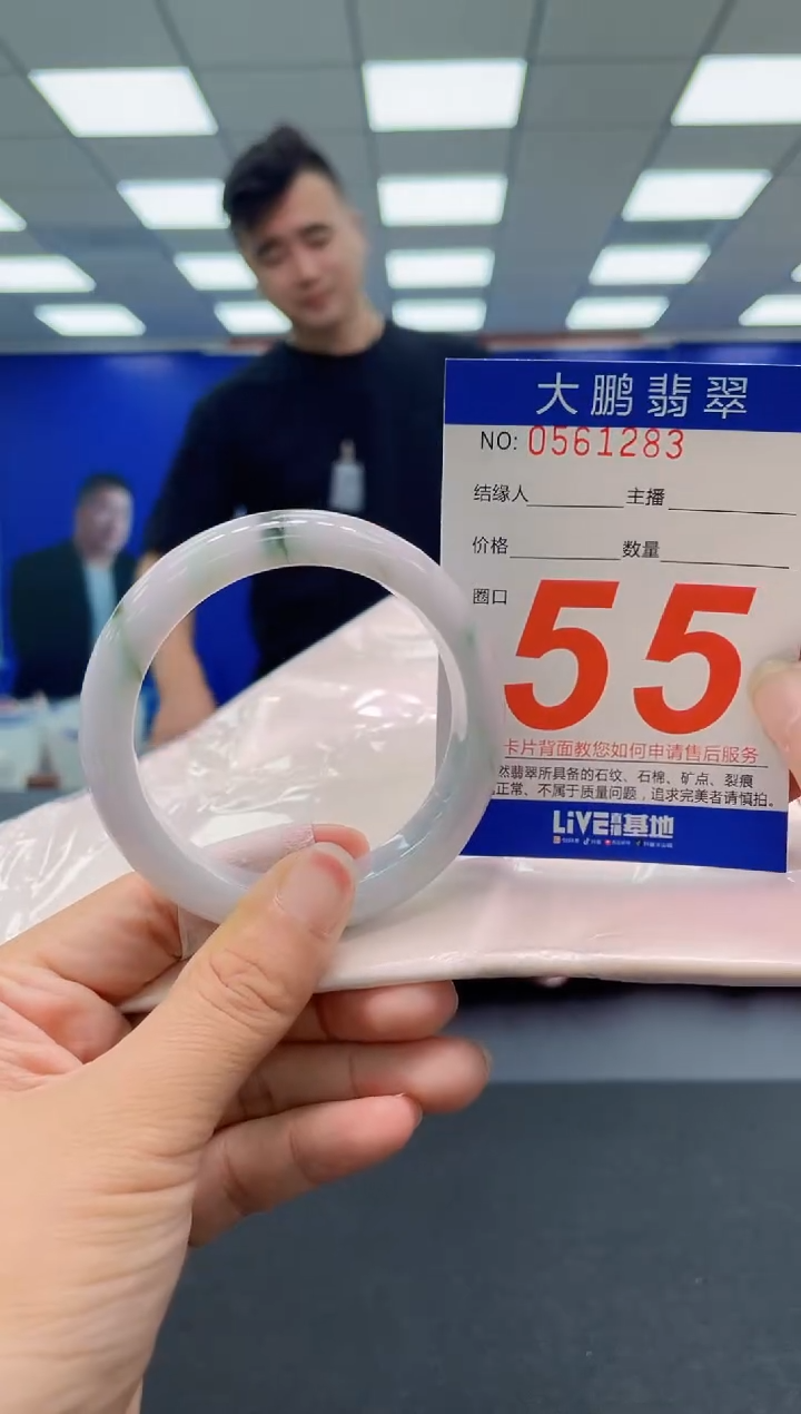 未镶嵌手镯翡翠AAAAAAAAA