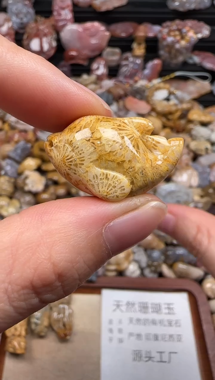 【闪购商品】硅化珊瑚（珊瑚玉）颈饰未镶嵌400