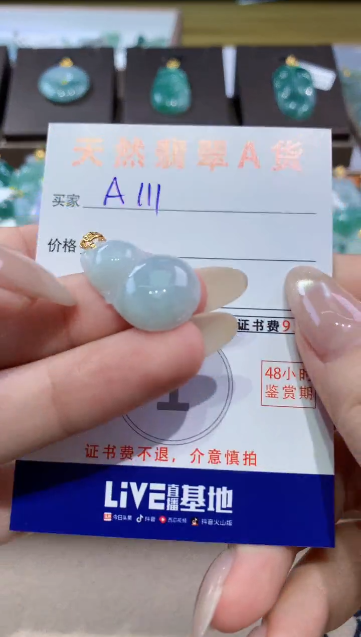 颈饰未镶嵌翡翠天然缅甸翡翠A货挂件 