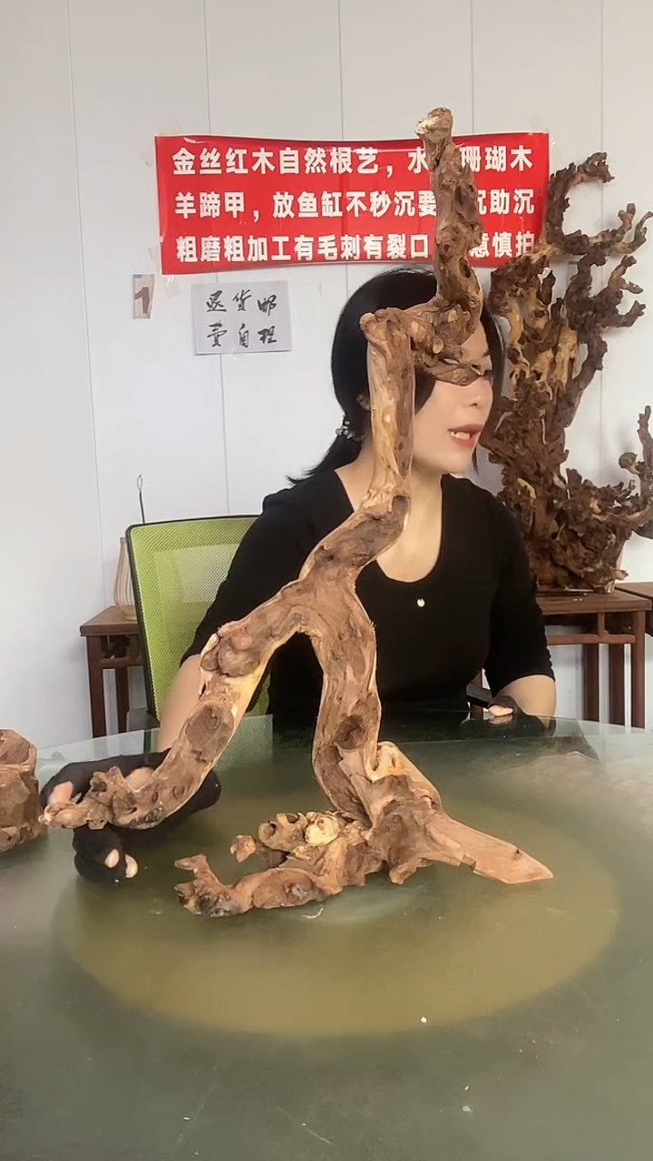 木无**欢金丝红木 羊蹄甲