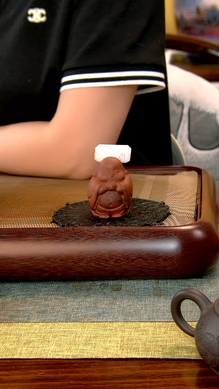 茶壶紫砂威****娜徐记福康 原矿紫砂 15