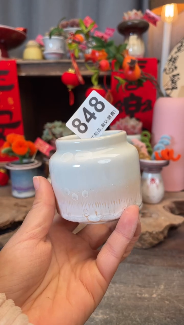 【闪购商品】摆件848知木小芳花盆